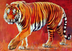 bengal-tiger-mark-adlington